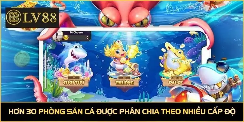 Hơn 30 phòng săn cá được phân chia theo nhiều cấp độ