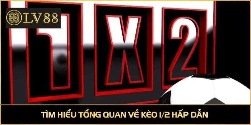 Tìm hiểu tổng quan về kèo 1/2 hấp dẫn 