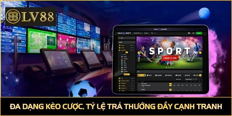 Đa dạng kèo cược, tỷ lệ trả thưởng đầy cạnh tranh